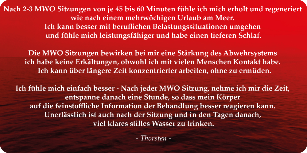 Erfahrungsbericht 03