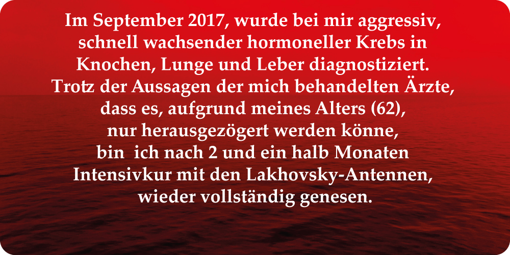 Erfahrungsbericht 06